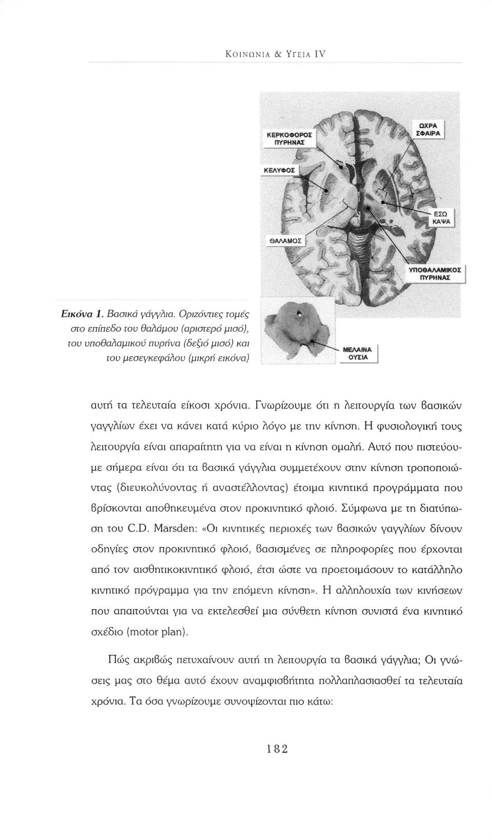 Γνωρίζουμε ότι η λειτουργία των Βασικών γαγγλίων έχει να κάνει κατά κύριο λόγο με την κίνηση. Η φυσιολογική τους λειτουργία είναι απαραίτητη για να είναι η κίνηση ομαλή.