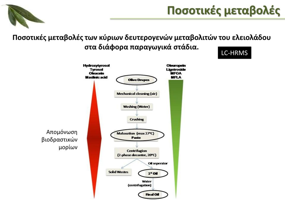 ελειολάδου στα διάφορα παραγωγικά