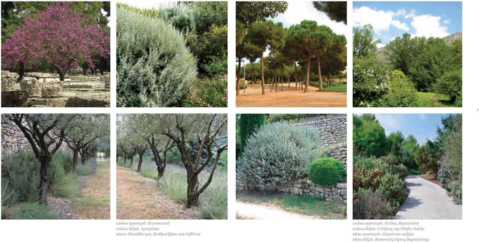 Πεύκα, Βαρκελώνη επάνω δεξιά: Ο Κήπος της Ninfa, Ιταλία