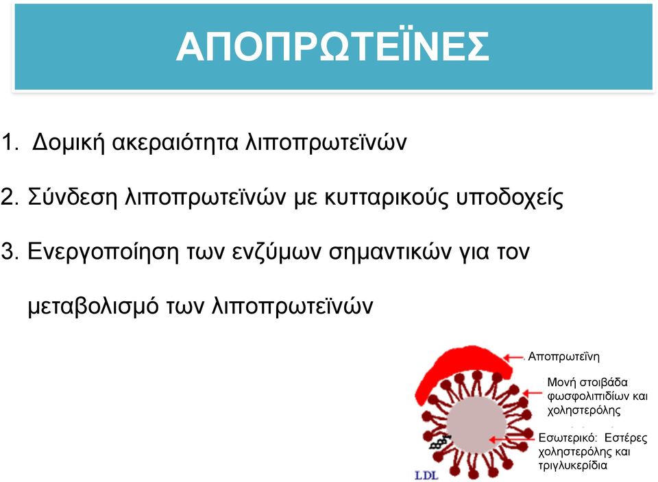 Ενεργοποίηση των ενζύµων σηµαντικών για τον µεταβολισµό των