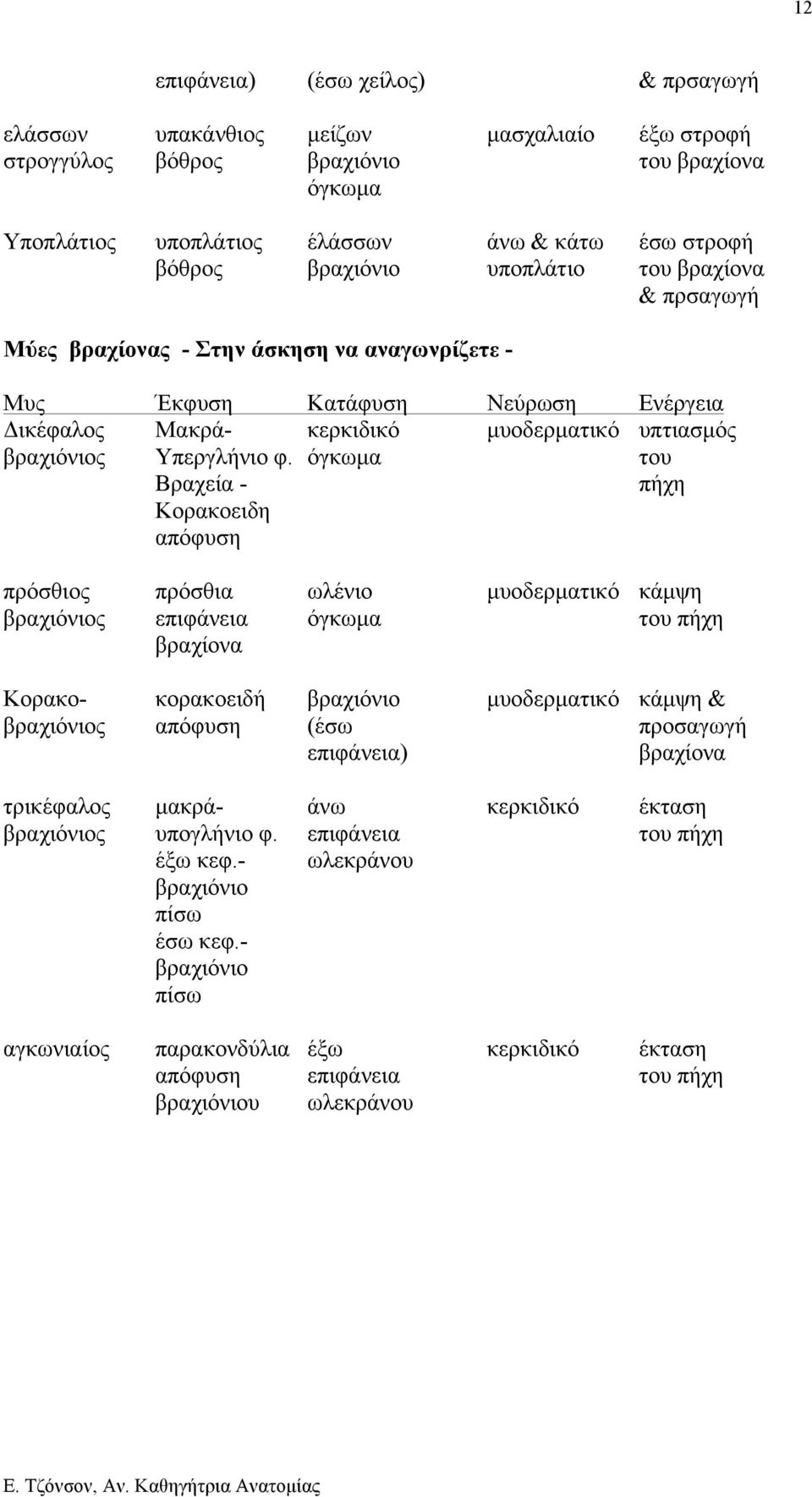 φ. όγκωµα του Βραχεία - πήχη Κορακοειδη απόφυση πρόσθιος πρόσθια ωλένιο µυοδερµατικό κάµψη βραχιόνιος επιφάνεια όγκωµα του πήχη βραχίονα Κορακο- κορακοειδή βραχιόνιο µυοδερµατικό κάµψη & βραχιόνιος