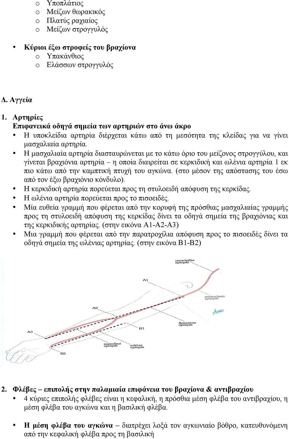 Η µασχαλιαία αρτηρία διασταυρώνεται µε το κάτω όριο του µείζονος στρογγύλου, και γίνεται βραχιόνια αρτηρία η οποία διαιρείται σε κερκιδική και ωλένια αρτηρία 1 εκ πιο κάτω από την καµπτική πτυχή του