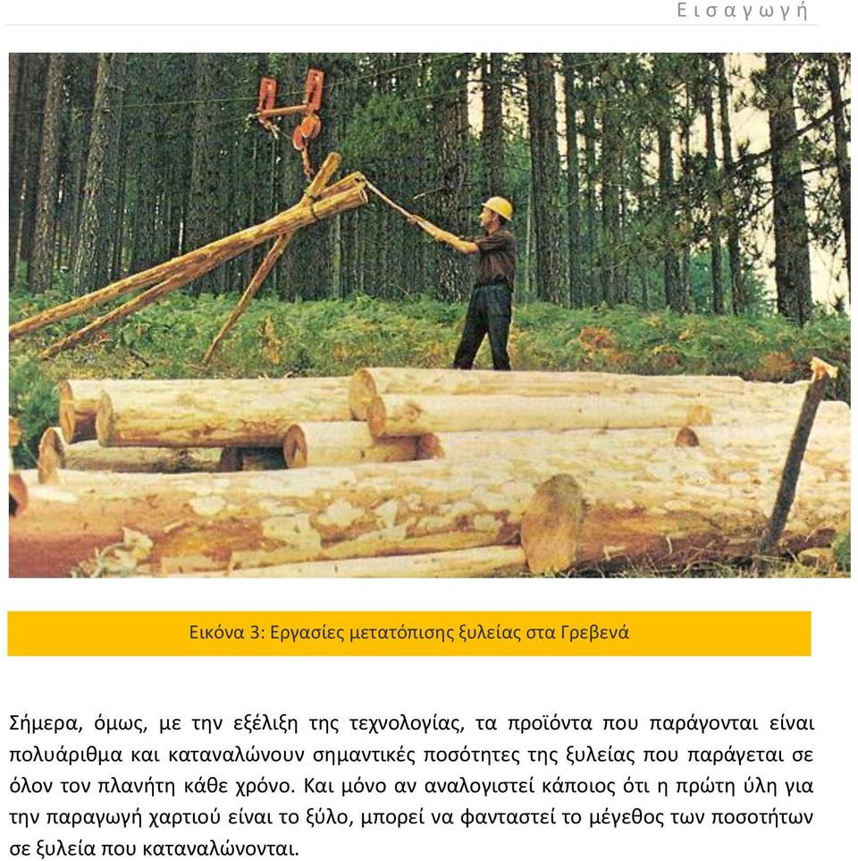 ξυλείας που παράγεται σε όλον τον πλανήτη κάθε χρόνο.