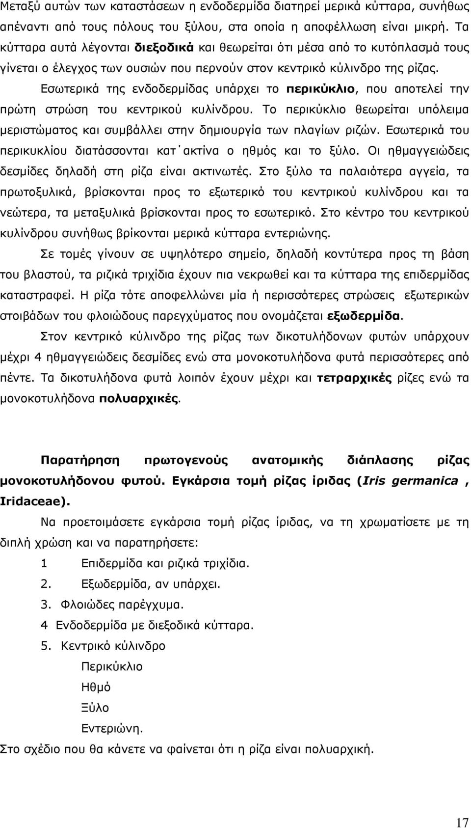 Εσωτερικά της ενδοδερμίδας υπάρχει το περικύκλιο, που αποτελεί την πρώτη στρώση του κεντρικού κυλίνδρου. Το περικύκλιο θεωρείται υπόλειμα μεριστώματος και συμβάλλει στην δημιουργία των πλαγίων ριζών.