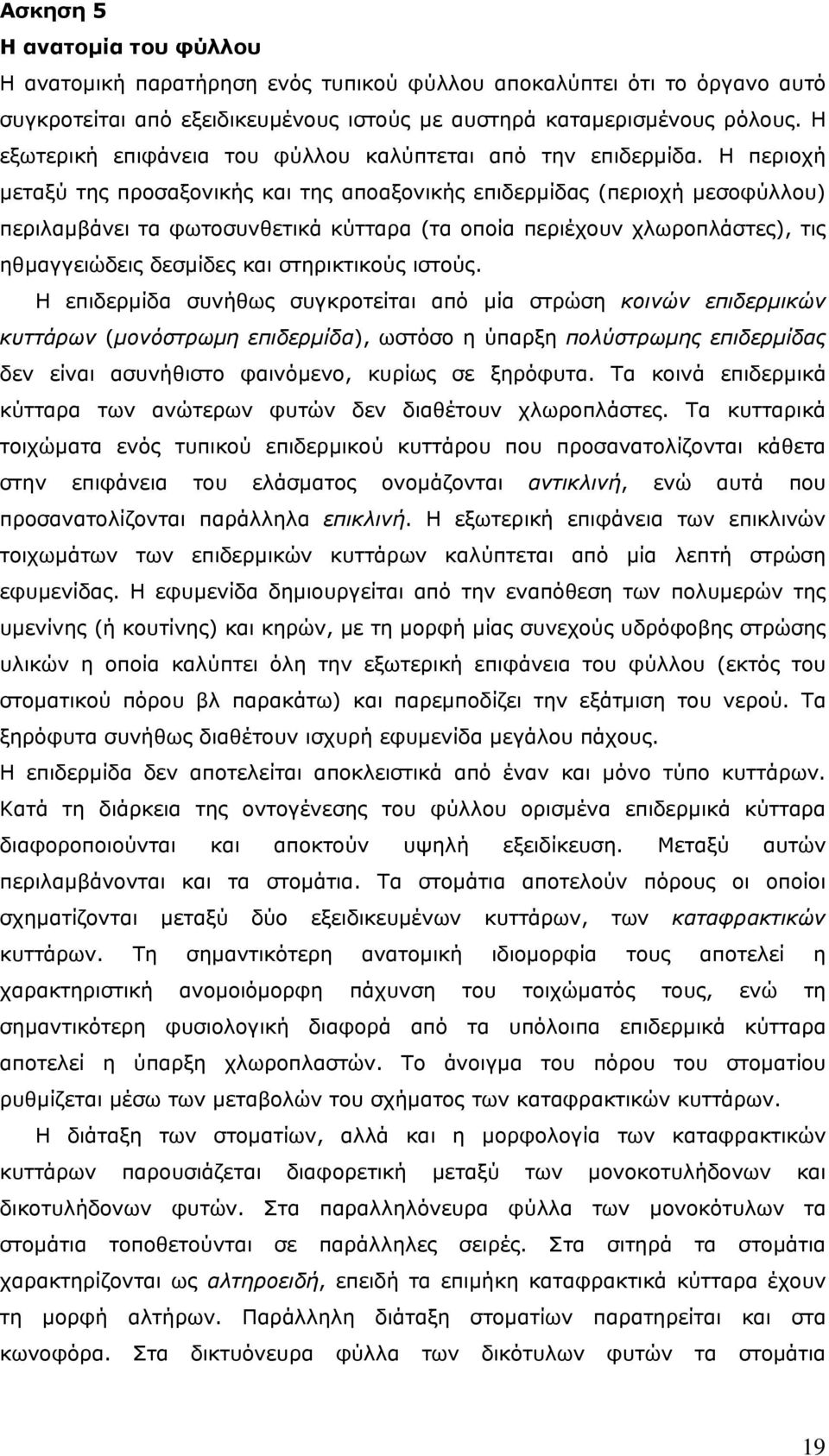 Η περιοχή μεταξύ της προσαξονικής και της αποαξονικής επιδερμίδας (περιοχή μεσοφύλλου) περιλαμβάνει τα φωτοσυνθετικά κύτταρα (τα οποία περιέχουν χλωροπλάστες), τις ηθμαγγειώδεις δεσμίδες και