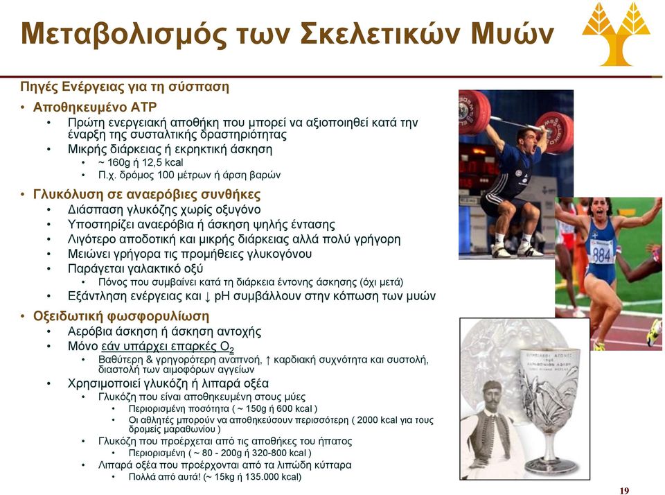 δρόμος 100 μέτρων ή άρση βαρών Γλυκόλυση σε αναερόβιες συνθήκες Διάσπαση γλυκόζης χωρίς οξυγόνο Υποστηρίζει αναερόβια ή άσκηση ψηλής έντασης Λιγότερο αποδοτική και μικρής διάρκειας αλλά πολύ γρήγορη