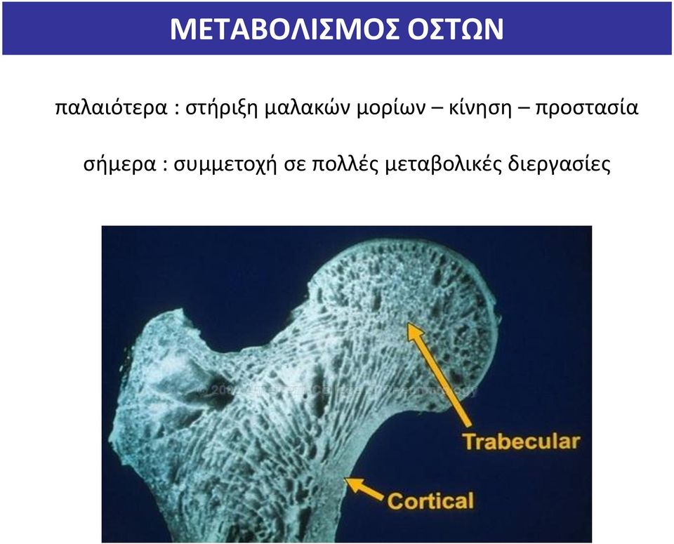 κίνηση προστασία σήμερα :