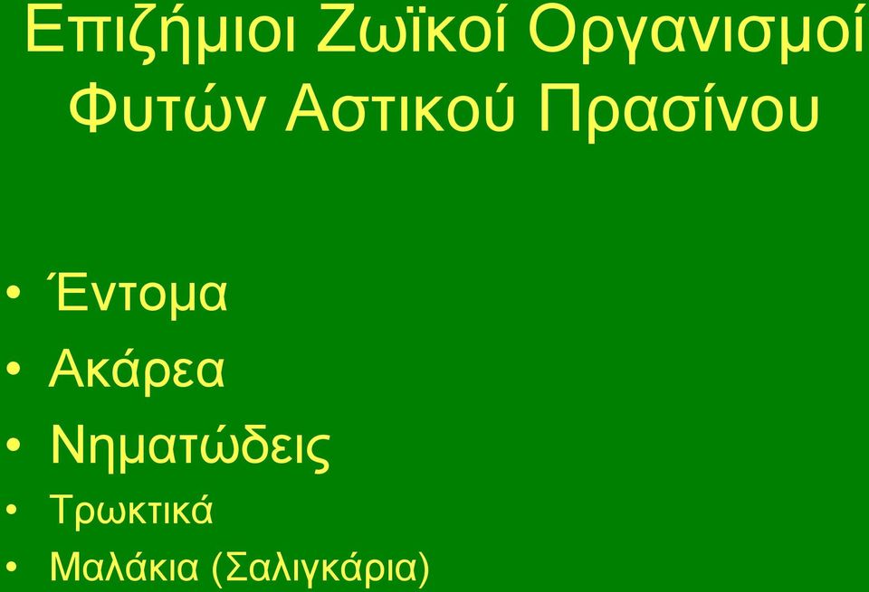 Πρασίνου Έντομα Ακάρεα