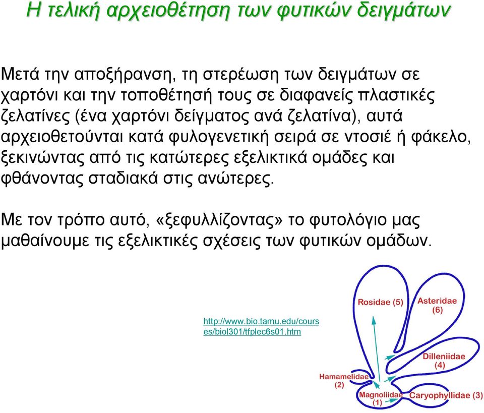 φάκελο, ξεκινώντας από τις κατώτερες εξελικτικά ομάδες και φθάνοντας σταδιακά στις ανώτερες.