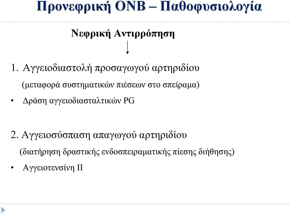 στο σπείραμα) Δράση αγγειοδιασταλτικών PG 2.