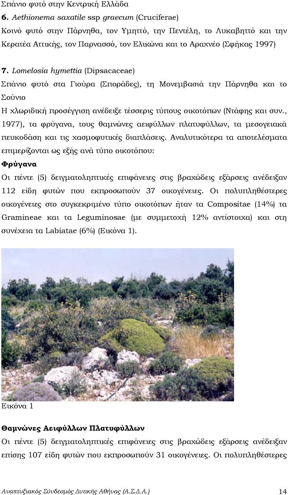 Lomelosia hymettia (Dipsacaceae) Σπάνιο φυτό στα Γιούρα (Σποράδες), τη Μονεμβασιά την Πάρνηθα και το Σούνιο Η χλωριδική προσέγγιση ανέδειξε τέσσερις τύπους οικοτόπων (Ντάφης και συν.