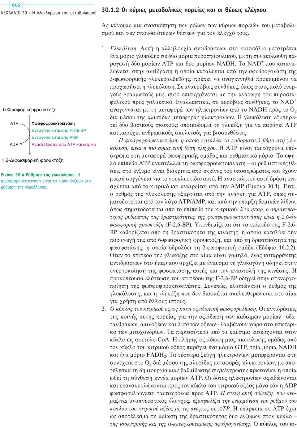 6-ºˆÛÊÔÚÈÎ ÊÚÔ ÎÙfi Ë ATP ADP ºˆÛÊÔÊÚÔ ÎÙÔÎÈÓ ÛË EÓÂÚÁÔappleÔÈÂ Ù È applefi F-2,6-BP EÓÂÚÁÔappleÔÈÂ Ù È applefi AMP AÓ ÛÙ ÏÏÂÙ È applefi ATP Î È ÎÈÙÚÈÎfi 1,6- ÈÊˆÛÊÔÚÈÎ ÊÚÔ ÎÙfi Ë Eικόνα 30.