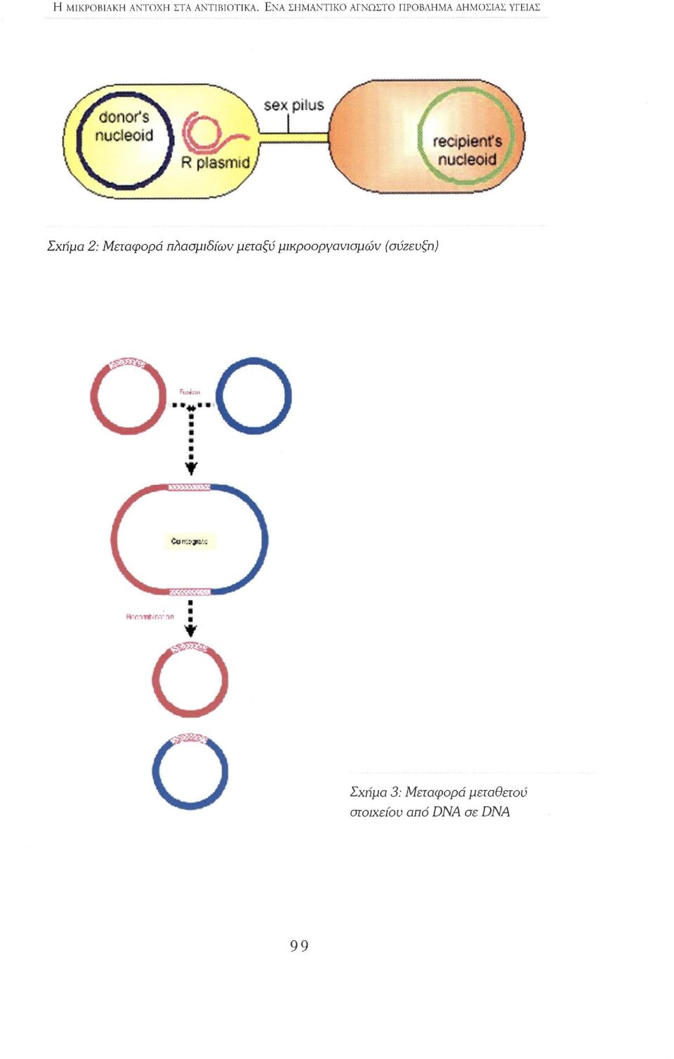 nucleoid / Σχήμα 2: Μεταφορά πλασμιδίων μεταξύ