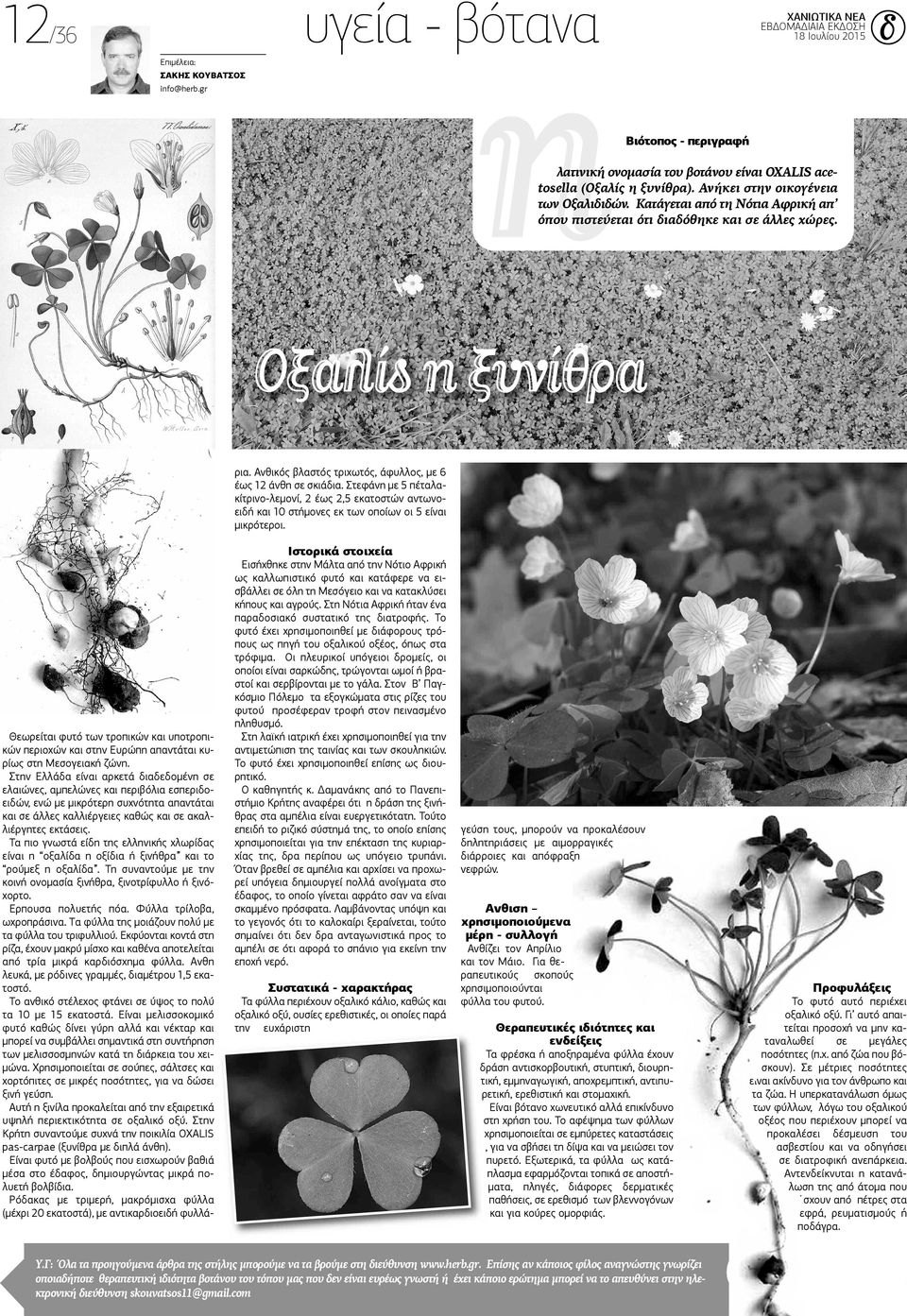 article thumbnail
