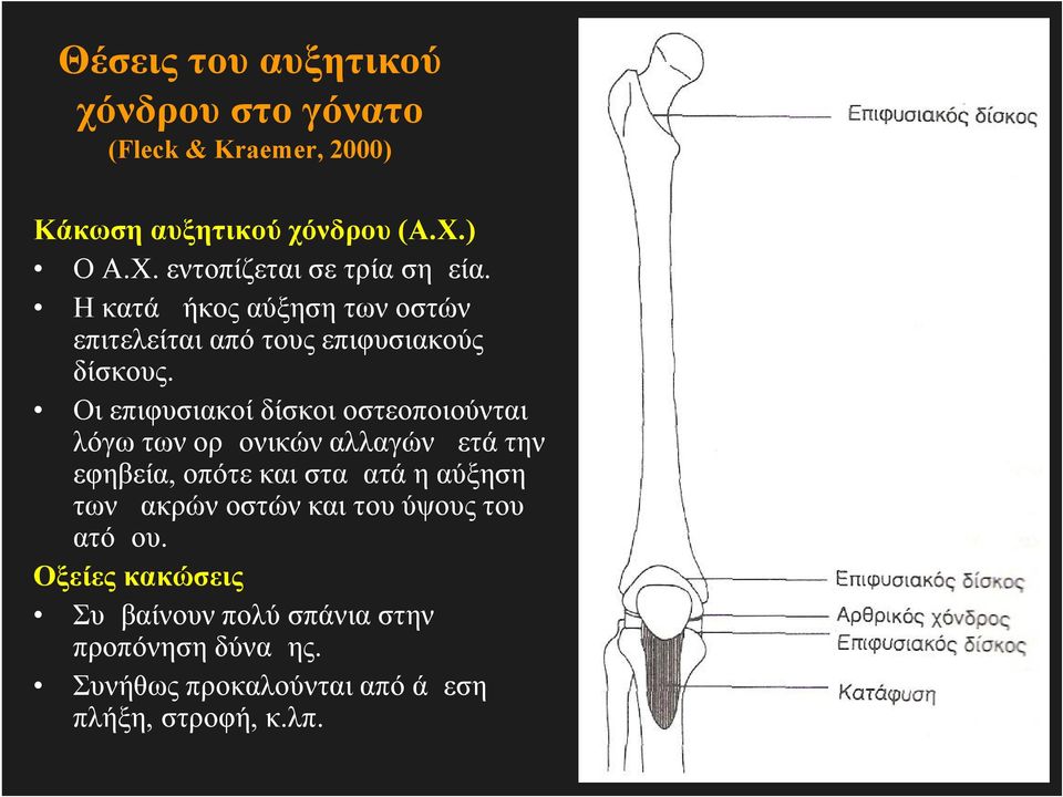 Οι επιφυσιακοί δίσκοι οστεοποιούνται λόγω των ορμονικών αλλαγών μετά την εφηβεία, οπότε και σταματά η αύξηση των