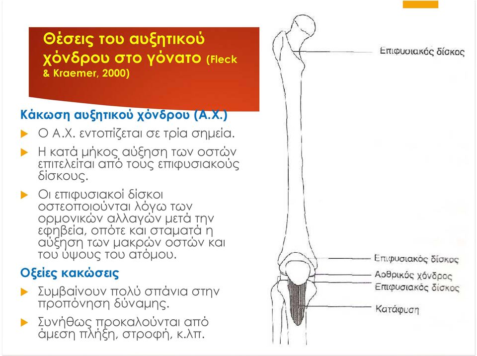 Οι επιφυσιακοί δίσκοι οστεοποιούνται λόγω των ορμονικών αλλαγών μετά την εφηβεία, οπότε και σταματά η αύξηση των