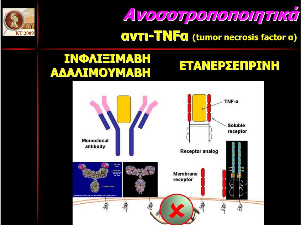 necrosis factor α)