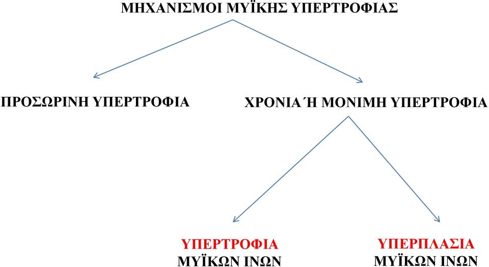 ΜΟΝΙΜΗ ΥΠΕΡΤΡΟΦΙΑ ΥΠΕΡΤΡΟΦΙΑ