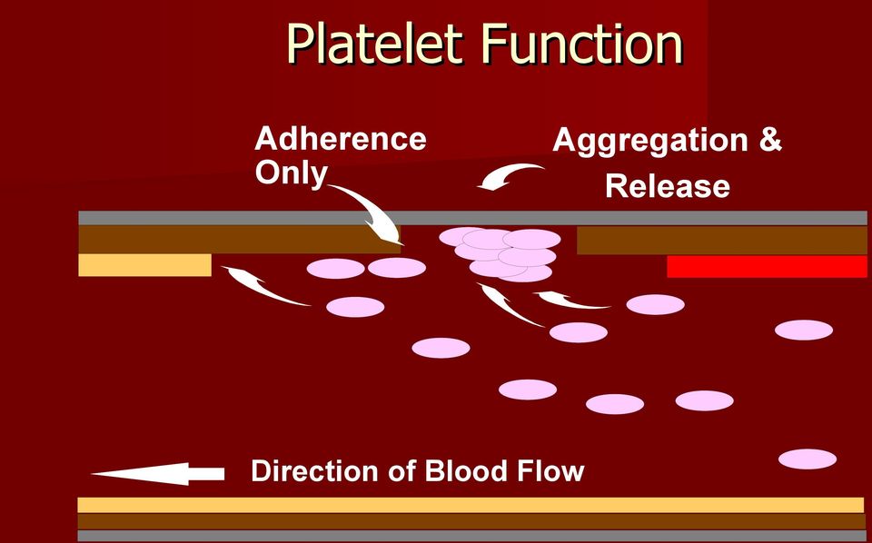 Aggregation &