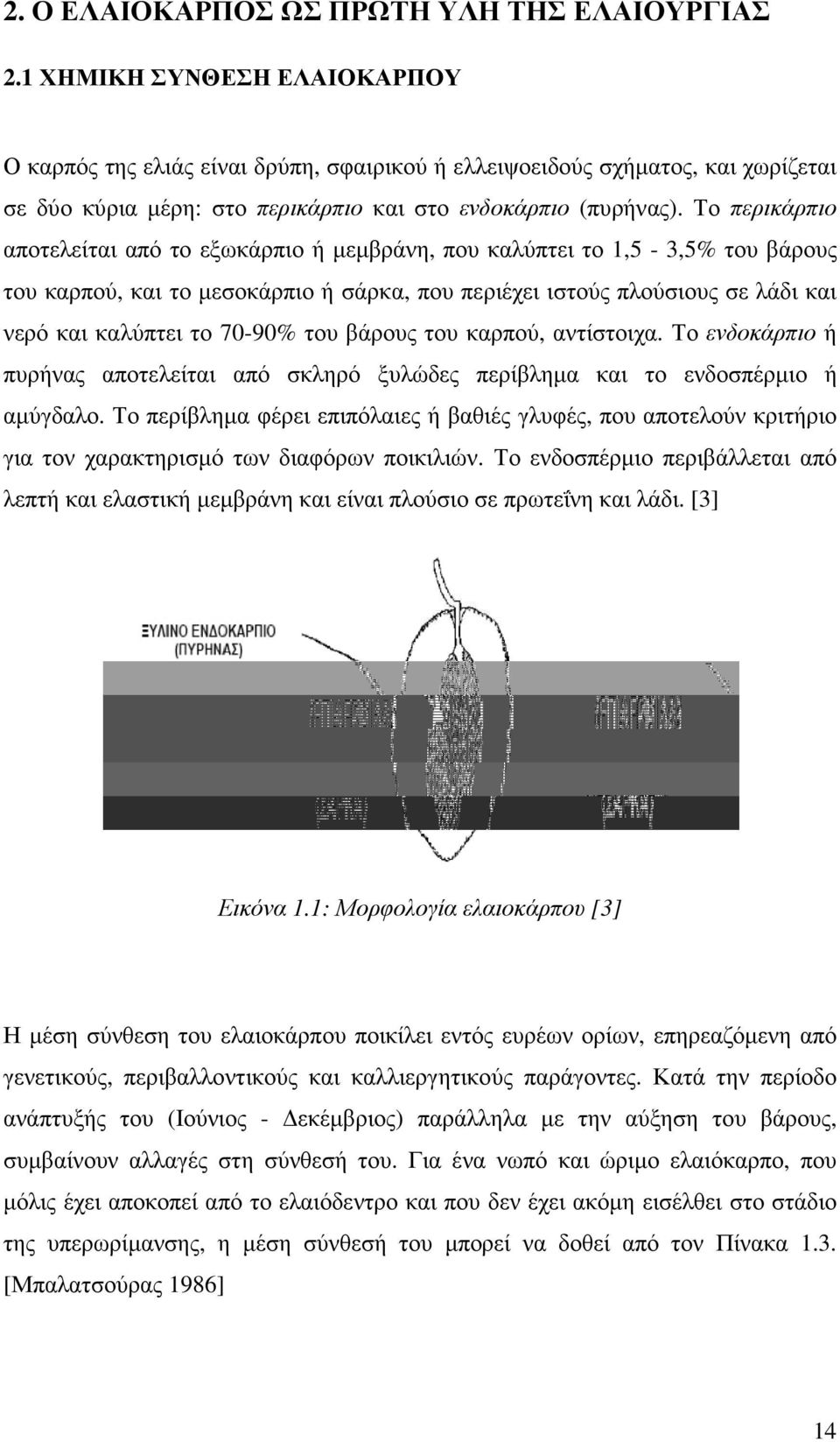 Το περικάρπιο αποτελείται από το εξωκάρπιο ή µεµβράνη, που καλύπτει το 1,5-3,5% του βάρους του καρπού, και το µεσοκάρπιο ή σάρκα, που περιέχει ιστούς πλούσιους σε λάδι και νερό και καλύπτει το 70-90%