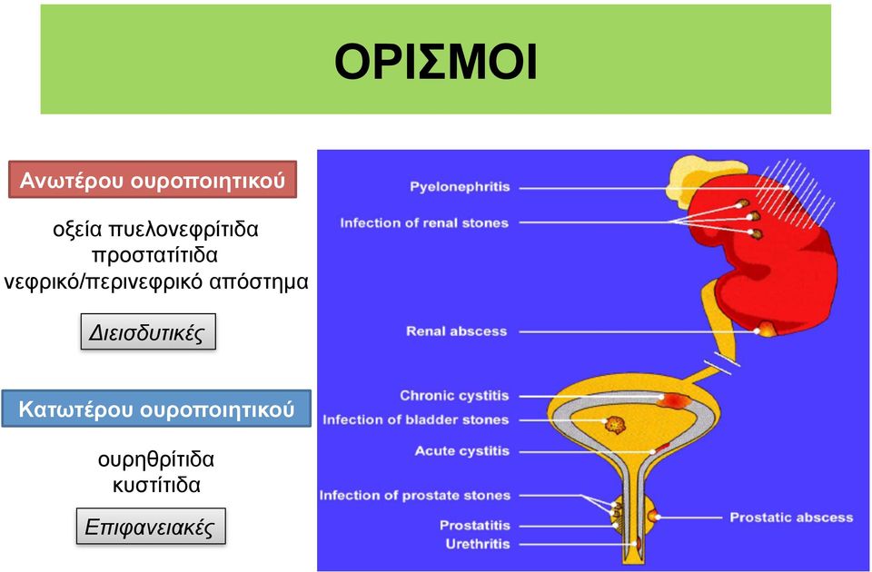 νεφρικό/περινεφρικό απόστηµα Διεισδυτικές