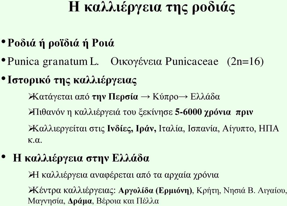 καλλιέργειά του ξεκίνησε 5-6000 χρόνια πριν Καλλιεργείται στις Ινδίες, Ιράν, Ιταλία, Ισπανία, Αίγυπτο, ΗΠΑ κ.α. Η