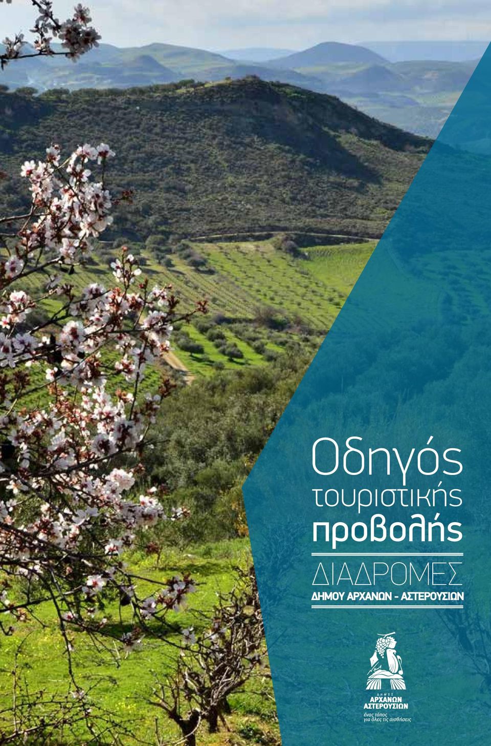 προβολής