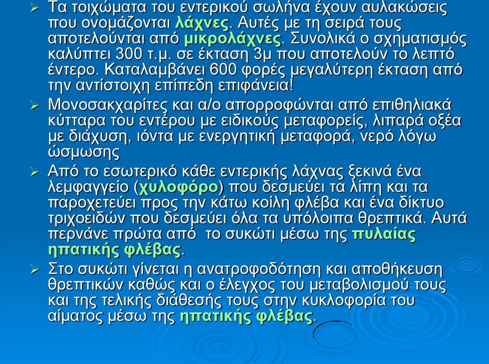 Μονοσακχαρίτες και α/ο απορροφώνται από επιθηλιακά κύτταρα του εντέρου με ειδικούς μεταφορείς, λιπαρά οξέα με διάχυση, ιόντα με ενεργητική μεταφορά, νερό λόγω ώσμωσης Από το εσωτερικό κάθε εντερικής