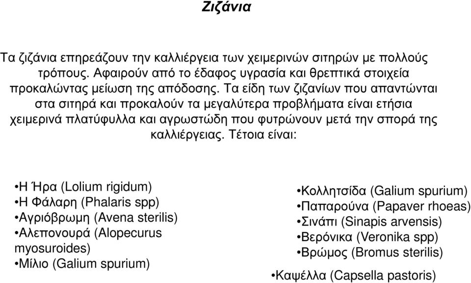 Τα είδη των ζιζανίων που απαντώνται στα σιτηρά και προκαλούν τα µεγαλύτερα προβλήµατα είναι ετήσια χειµερινά πλατύφυλλα και αγρωστώδη που φυτρώνουν µετά την σπορά