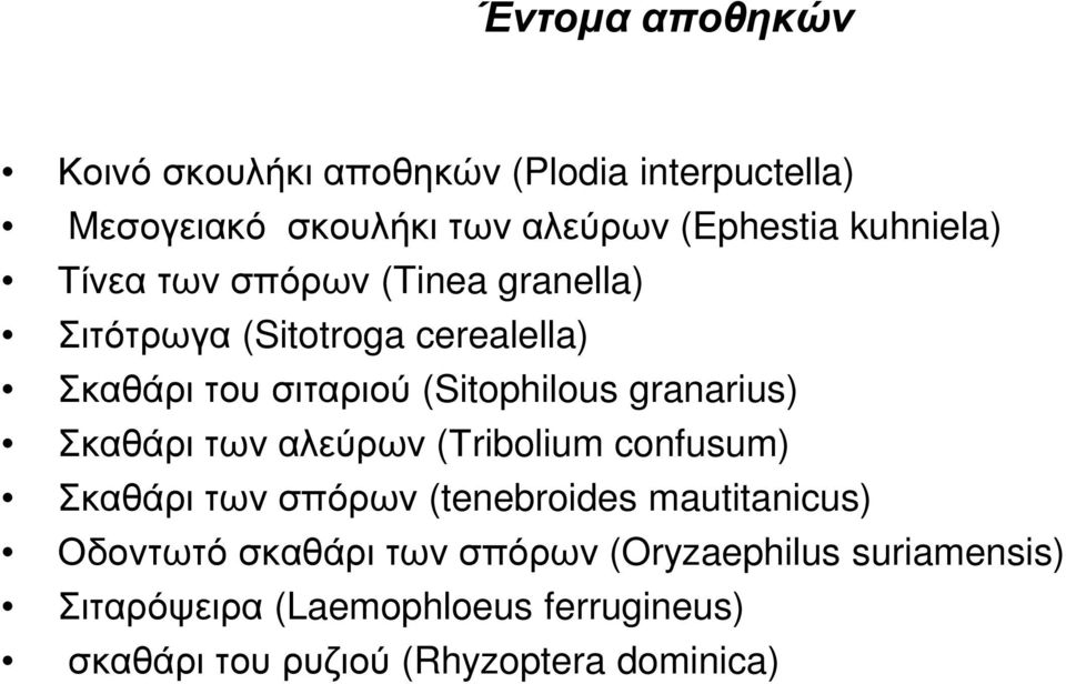 granarius) Σκαθάρι των αλεύρων (Τribolium confusum) Σκαθάρι των σπόρων (tenebroides mautitanicus) Οδοντωτό