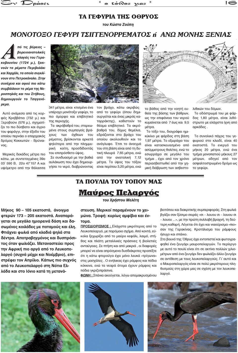 Αυτό ανάμεσα από τις κορφές Κρεββάτια (732 μ.) και Ξεροβούνι (576 μ.), σχηματίζει το πιο δύσβατο και άγριο του φαράγγι, στην έξοδο του οποίου περνάει ο επαρχιακός δρόμος Κοκκωτών Βρύναινας.