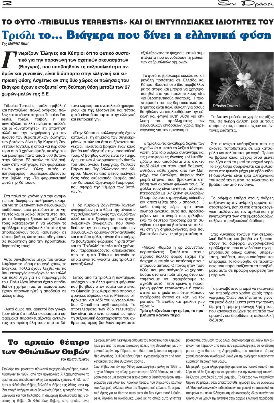 και γυναικών, είναι διάσπαρτο στην ελληνική και κυπριακή φύση; Ασχέτως αν στις δύο χώρες οι πωλήσεις του Βιάγκρα έχουν εκτοξευτεί στη δεύτερη θέση μεταξύ των 27 χωρών-μελών της Ε.