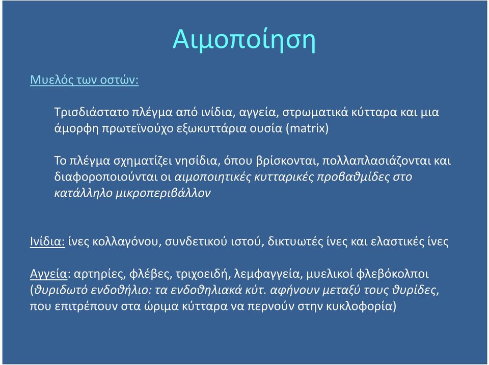 μικροπεριβάλλον Ινίδια: ίνες κολλαγόνου, συνδετικού ιστού, δικτυωτές ίνες και ελαστικές ίνες Αγγεία: αρτηρίες, φλέβες, τριχοειδή, λεμφαγγεία,