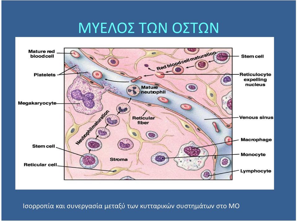 συνεργασία μεταξύ