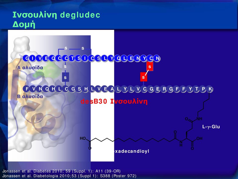 Ινσουλίνη K O NH O L-γ-Glu HO O Hexadecandioyl N H O OH Jonassen et al.