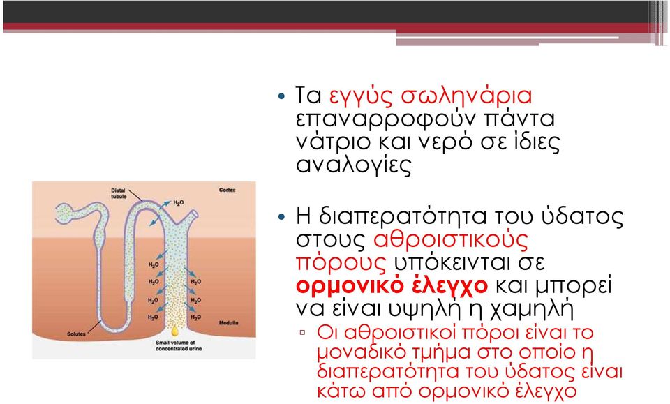 έλεγχο και µπορεί να είναι υψηλή η χαµηλή Οι αθροιστικοί πόροι είναι το