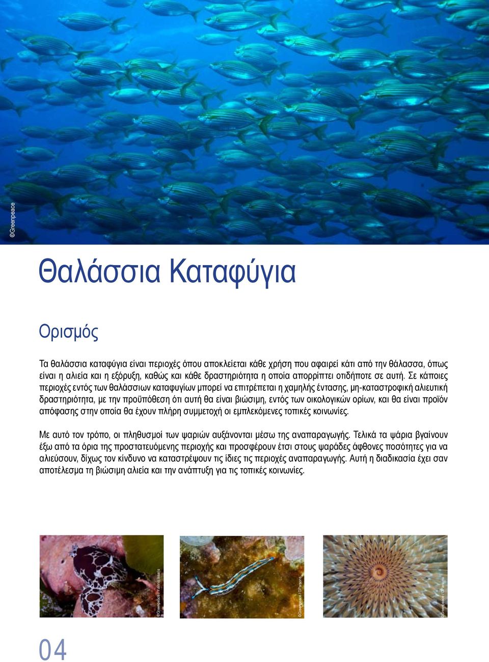 Σε κάποιες περιοχές εντός των θαλάσσιων καταφυγίων μπορεί να επιτρέπεται η χαμηλής έντασης, μη-καταστροφική αλιευτική δραστηριότητα, με την προϋπόθεση ότι αυτή θα είναι βιώσιμη, εντός των οικολογικών