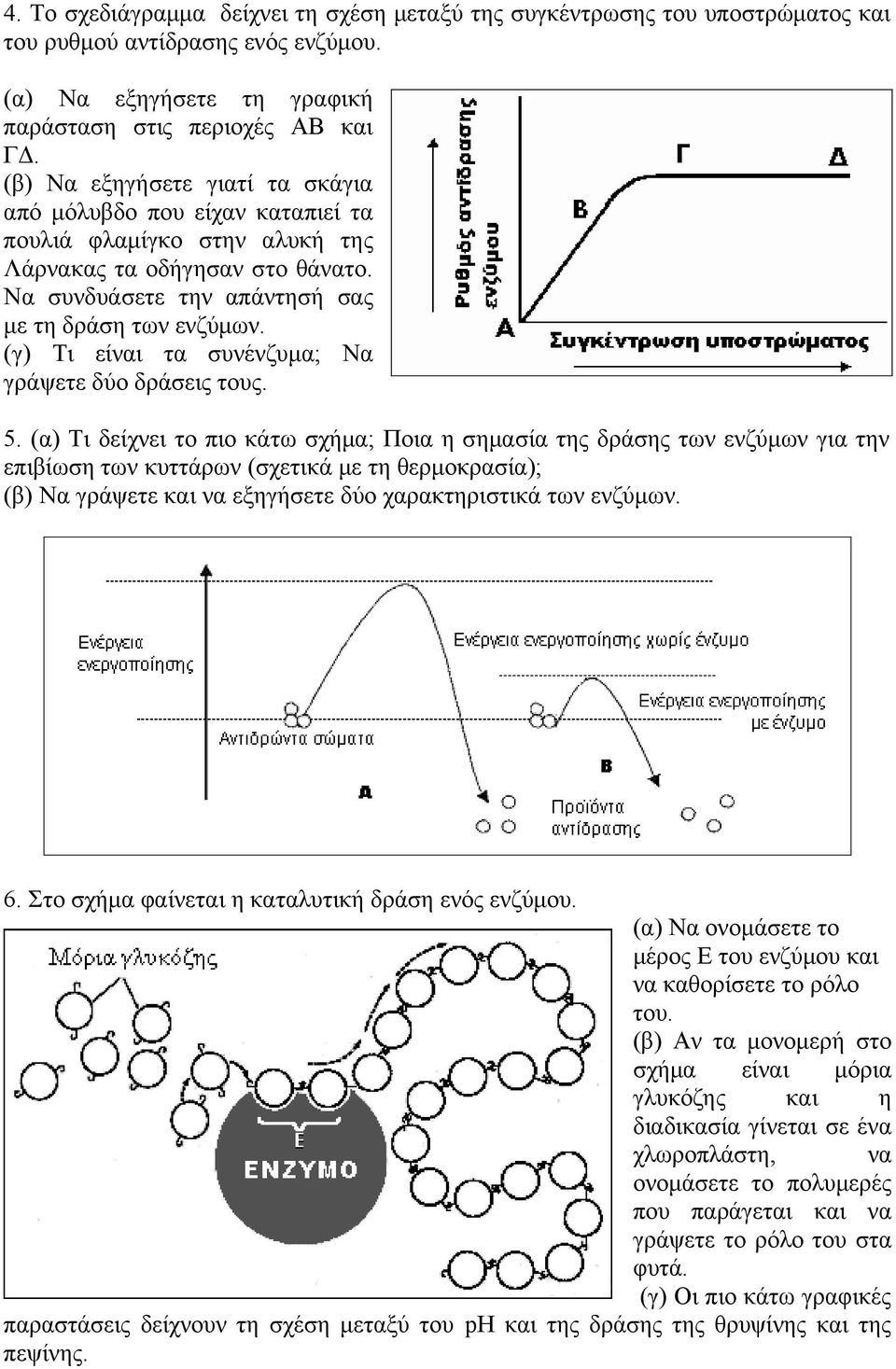 (γ) Τι είναι τα συνένζυμα; Να γράψετε δύο δράσεις τους. 5.