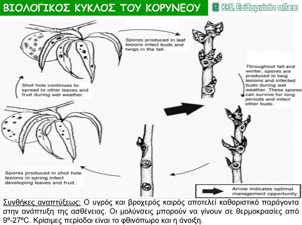 ανάπτυξη της ασθένειας.