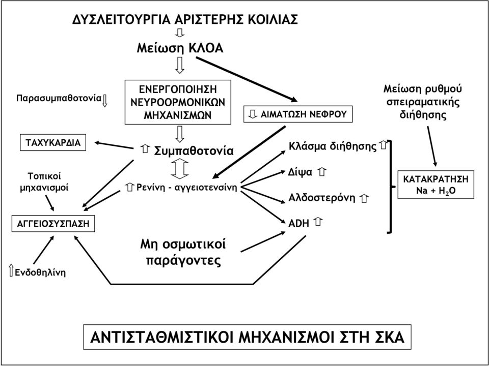 Κλάσµα διήθησης Τοπικοί µηχανισµοί Ρενίνη - αγγειοτενσίνη ίψα Αλδοστερόνη ΚΑΤΑΚΡΑΤΗΣΗ Na