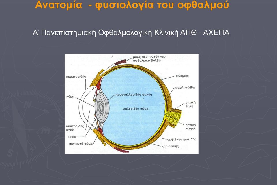 Πανεπιστημιακή