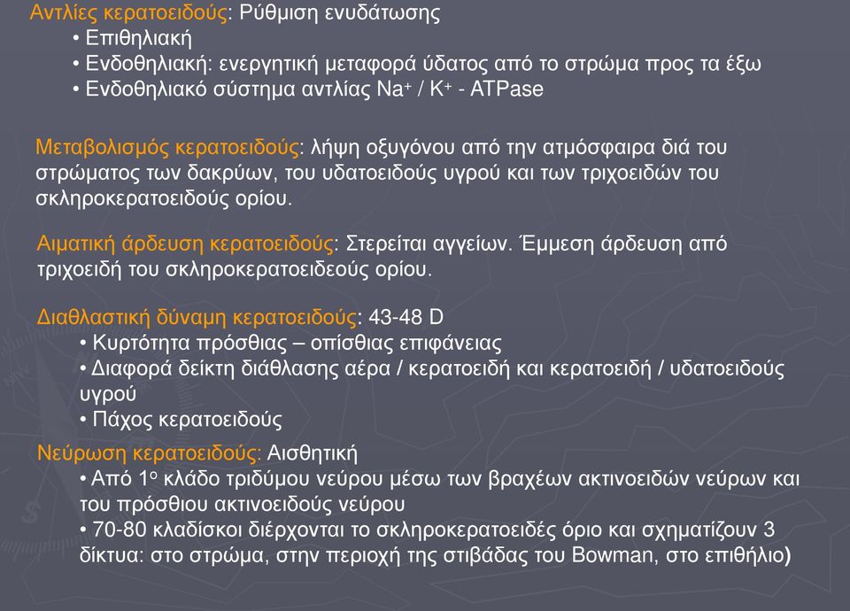 Έμμεση άρδευση από τριχοειδή του σκληροκερατοειδεούς ορίου.