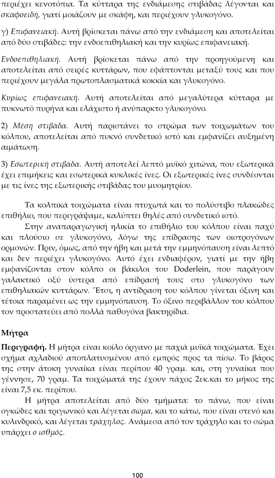 Αυτή βρίσκεται πάνω από την προηγούμενη και αποτελείται από σειρές κυττάρων, που εφάπτοvται μεταξύ τους και που περιέχουν μεγάλα πρωτοπλασματικά κοκκία και γλυκογόνο. Κυρίως επιφανειακή.