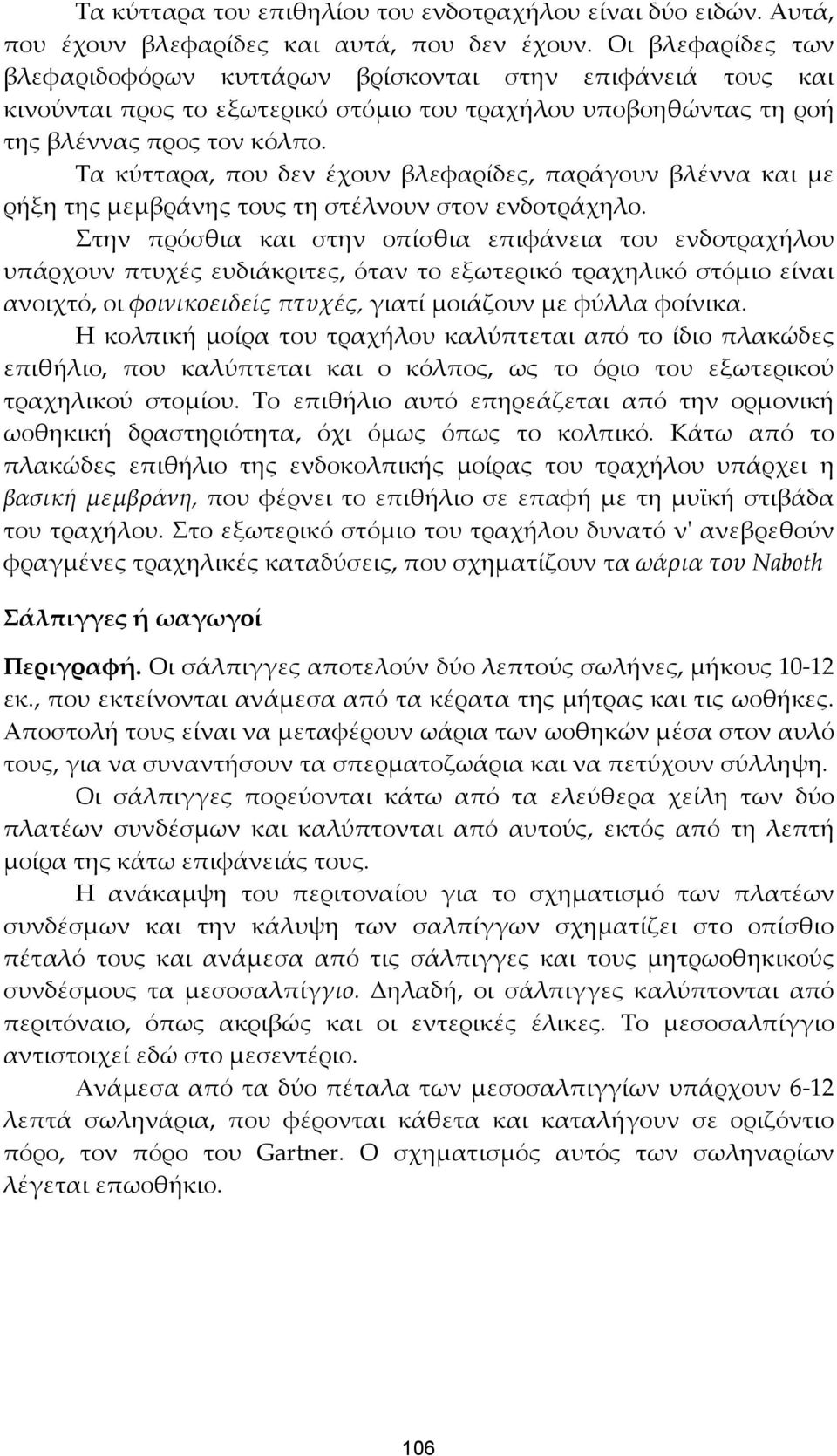 Τα κύτταρα, που δεν έχουν βλεφαρίδες, παράγουν βλέννα και με ρήξη της μεμβράνης τους τη στέλνουν στον ενδοτράχηλο.