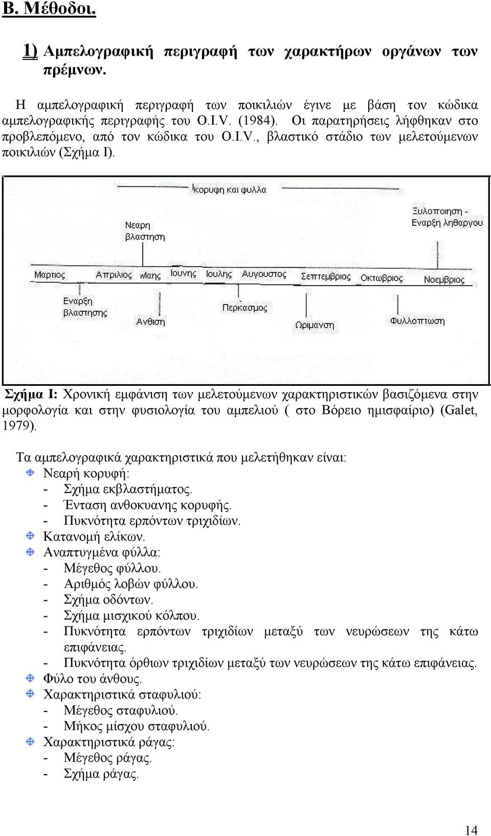 Σχήµα Ι: Χρονική εµφάνιση των µελετούµενων χαρακτηριστικών βασιζόµενα στην µορφολογία και στην φυσιολογία του αµπελιού ( στο Βόρειο ηµισφαίριο) (Galet, 1979).