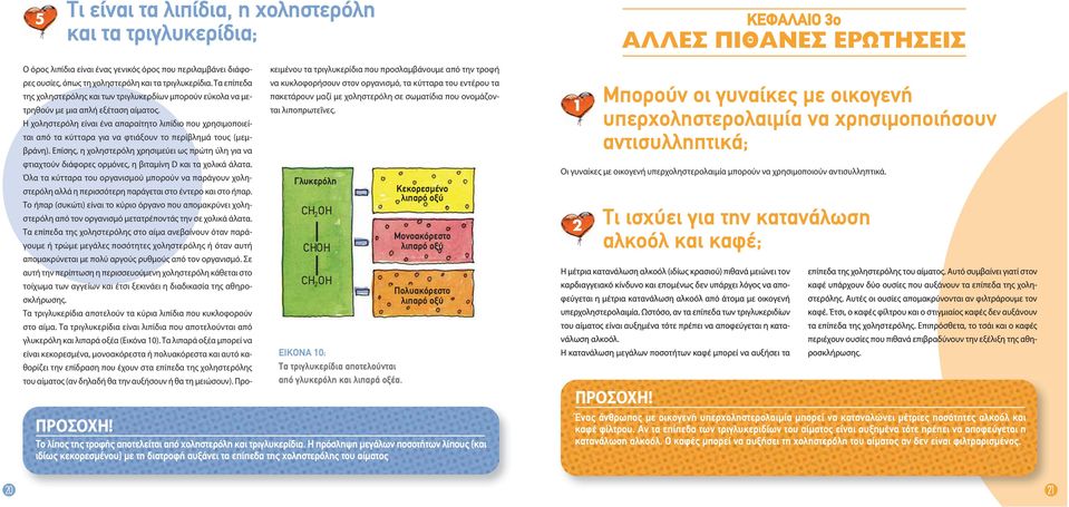 Η χοληστερόλη είναι ένα απαραίτητο λιπίδιο που χρησιμοποιείται από τα κύτταρα για να φτιάξουν το περίβλημά τους (μεμβράνη).