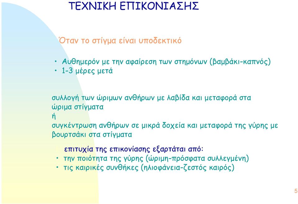 συγκέντρωση ανθήρων σε μικρά δοχεία και μεταφορά της γύρης με βουρτσάκι στα στίγματα Η επιτυχία της