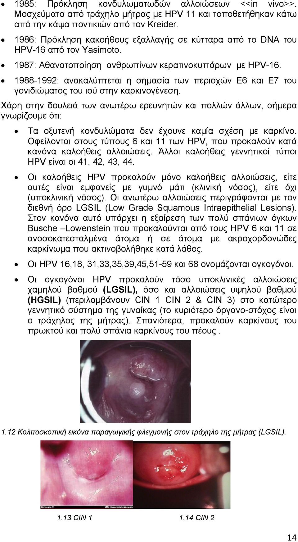 1988-1992: ανακαλύπτεται η σημασία των περιοχών Ε6 και Ε7 του γονιδιώματος του ιού στην καρκινογένεση.