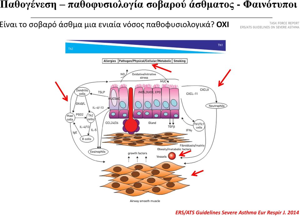 άσθμα μια ενιαία νόσος παθοφυσιολογικά?
