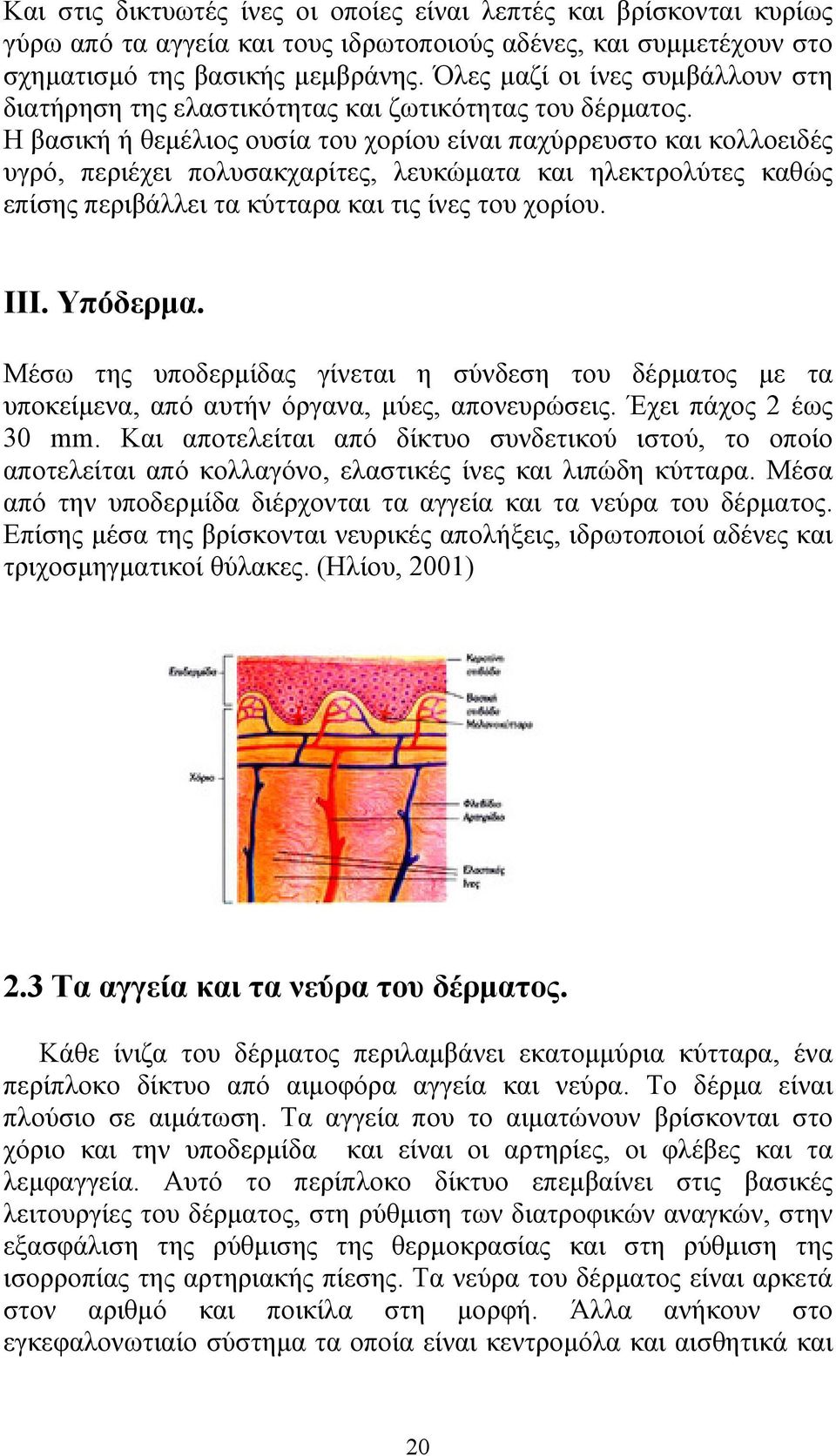 Η βασική ή θεμέλιος ουσία του χορίου είναι παχύρρευστο και κολλοειδές υγρό, περιέχει πολυσακχαρίτες, λευκώματα και ηλεκτρολύτες καθώς επίσης περιβάλλει τα κύτταρα και τις ίνες του χορίου. ΙΙΙ.